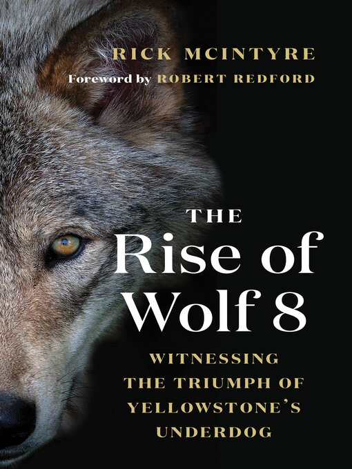 Title details for The Rise of Wolf 8 by Rick McIntyre - Available